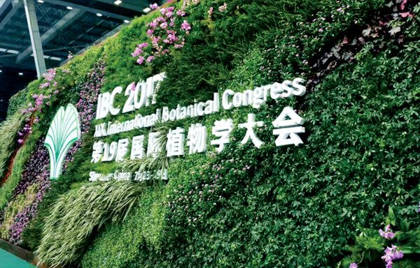 黨建設計,黨建形象設計,黨建展廳,黨建文化,黨建理念