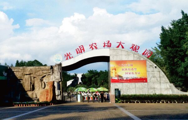 深圳LOGO設計,深圳平面設計,深圳品牌設計,深圳平面設計公司,logo設計